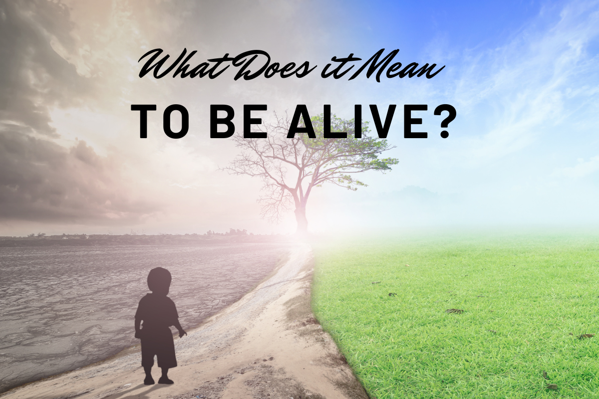 What Does It Mean To Be ALIVE?